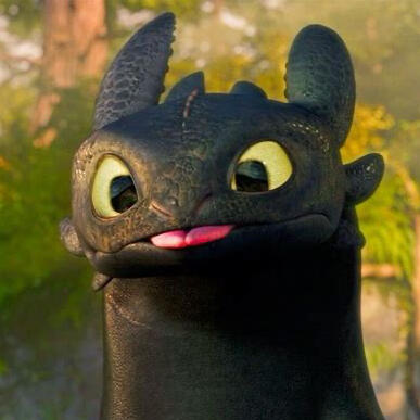 Toothless, from How to Train Your Dragon