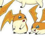 Patamon, from Digimon