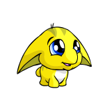 Baby Poogle