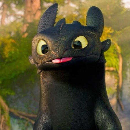 Toothless, from How to Train Your Dragon
